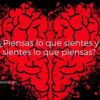 °·Lo que sientes✨👠☺