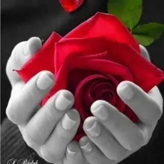 🌙🖤❤Night of sleeps❤🖤💫