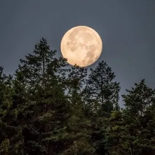 قناة | مُصْطَفى يُوسُف
