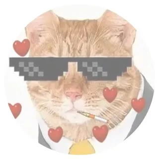 𝗠𝗶𝗻𝗲꯭𝗌꯭𝗁𝗂𝖾𝗅𝖽 𝘮𝘦𝘦𝘵