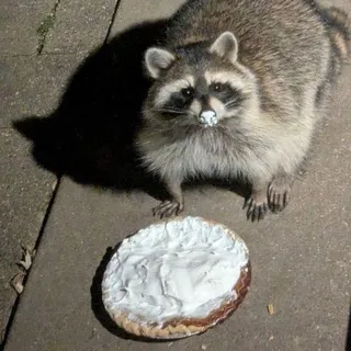НаркоБанка