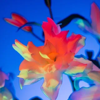 Фотограф твоей мечты