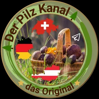🌲Der Pilz Kanal🌲