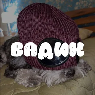 ВАДИК