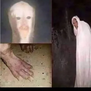 поле лаванды
