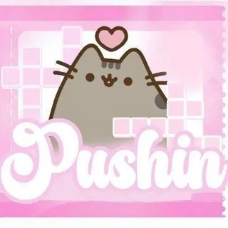 PUSHINS