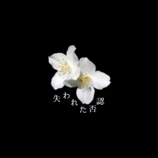lost denial | 失われた否認