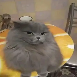 Николас поцелуйко🍭