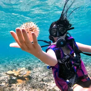 🐠 Scuba Diving Havana 🤿