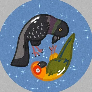 Birb posting 🐦🦅🦜🕊️