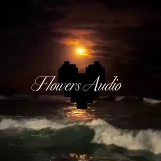•🖤~{𝓕𝓵𝓸𝔀𝓮𝓻𝓼 𝓐𝓾𝓭𝓲𝓸}~🖤•