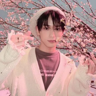 Bunny code