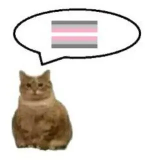 ⋱ DEMIGIRL cf ⟨🏳️‍🌈🏳️‍⚧️⟩