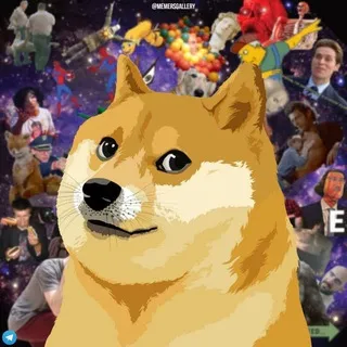 Memes Gallery