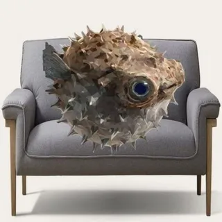 Divan_Fish