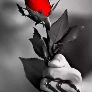 🎀 𝒟𝐸𝒟𝐼𝒞𝒜𝒯🌺𝑅𝐼𝒜𝒮 𝒟𝐸 𝒜𝑀💞𝑅 𝒴 𝒜𝑀𝐼𝒮𝒯𝒜𝒟 🎀❤️💋✍🏻👩‍❤️‍👨💫🌙🌈