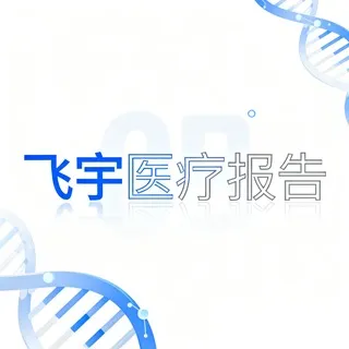 飞宇医疗报告分享