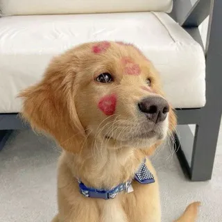 Тэри
