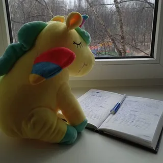 Дневник среднего возраста