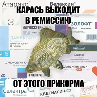 Плесенев компост