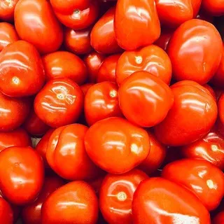 Чел рисует👀🌭