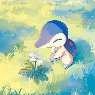✶POKÉMON RU FD⸙