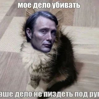 Мᴏдᴇᴧьᴋи ᴏᴛ Лᴇᴄᴧи