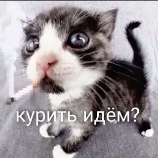 кто убил стекло?