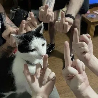 Suga