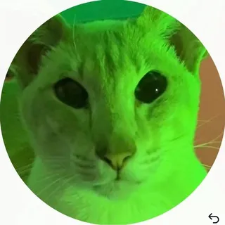boypussy could save her