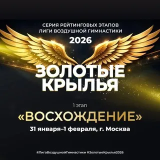 ЛИГА ВОЗДУШНОЙ ГИМНАСТИКИ 2026