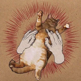 т-щ майор