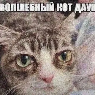джоба📿