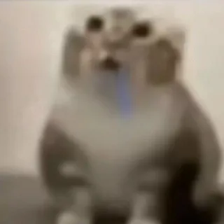 Одночлен