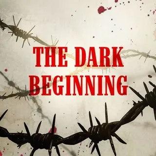 THE DARK BEGINNING