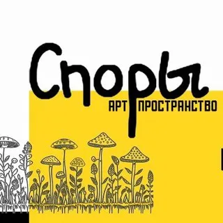 СПОРЫ 🍄🍄🍄
