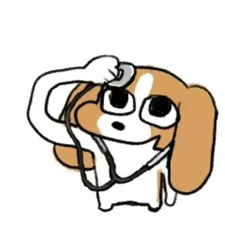促进关系