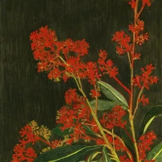 tasty unflowers