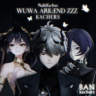 КАЧЕРЫ WUWA, ARK:END, ZZZ | БК