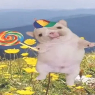 ᯓ 𝗙𝗲𝗺𝘆𝗮-𝗜𝗶𝗫