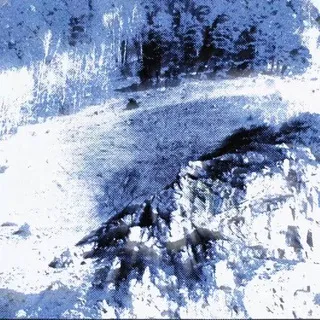 новая сибирь