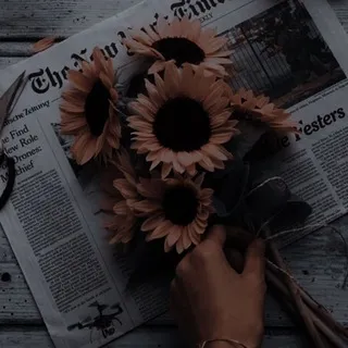 ˚ 𝜗𝜚.𝐇𝐨𝐥𝐥𝐨𝐰 𝐃𝐢𝐚𝐫𝐲 🌻. ᯓᡣ𐭩
