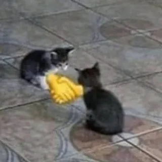 [6 рукопожатий до]