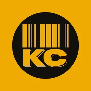Камеры Слежения