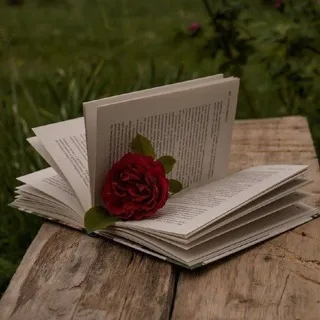 🥀 ᴇꜱᴄʀɪᴛᴏꜱ ʏ ʟɪʙʀᴏꜱ 📖📚
