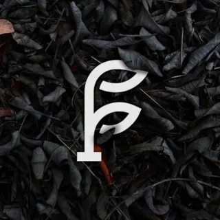 •Фаваиды•