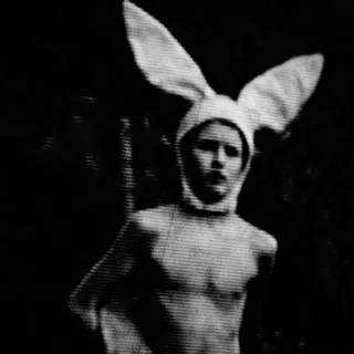 Leo Rabbit (Кролик Лео)