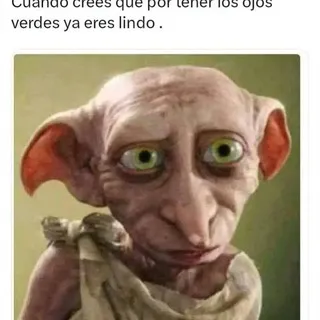 ️🤪𝙈𝙚𝙢𝙚𝙨 𝙍𝙖𝙣𝙙𝙤𝙢🤪