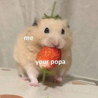 Cheereшня♡