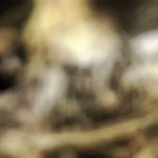 Скоро.... 💀